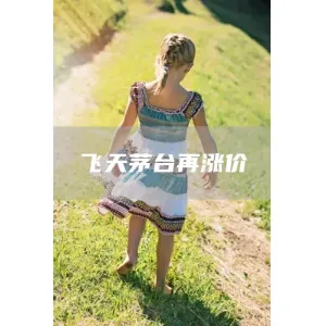 飞天茅台再涨价